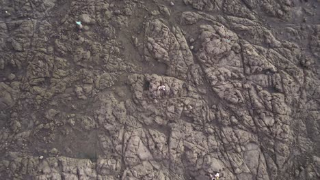 top down drone lifting shot of a couple standing at tamarindo beach in costa rica