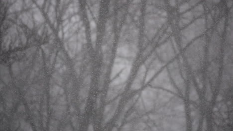 fluffy snow falls gently in slow motion