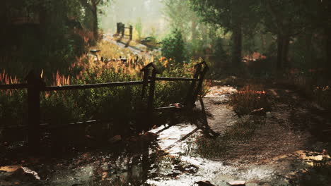 old-wooden-fence-and-hiking-path-through-forest