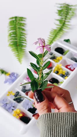 floral berries ice cubes