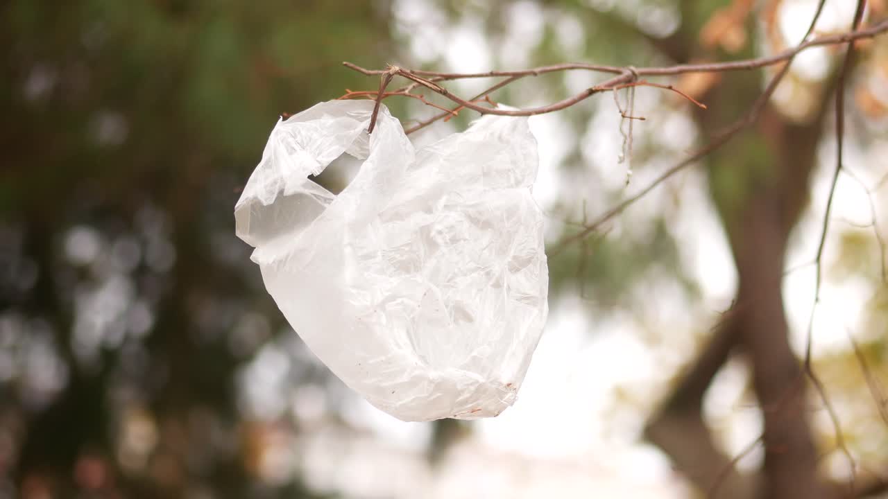 나무 가지 에 있는 플라스틱 가방