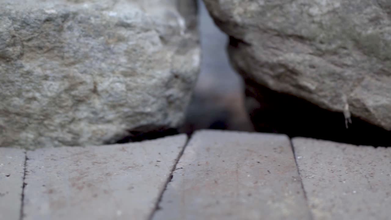 돌과 벽돌 질감