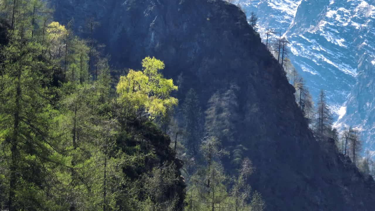 toma aérea de cerca de un árbol brillantemente iluminado en la ladera de una montaña con capas de montañas en el fondo dando una sensación real de profundidad, alpes del sur