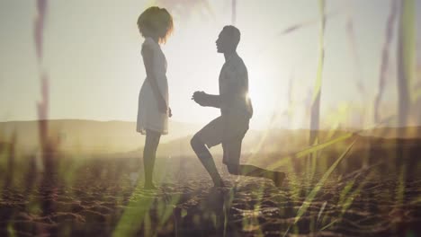 Animation-of-happy-african-american-couple-at-beach-on-sunny-day-over-grass