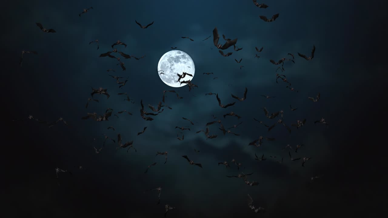 Loop Bats Animation Halloween Black Bats Flying 4K animation on Green ...