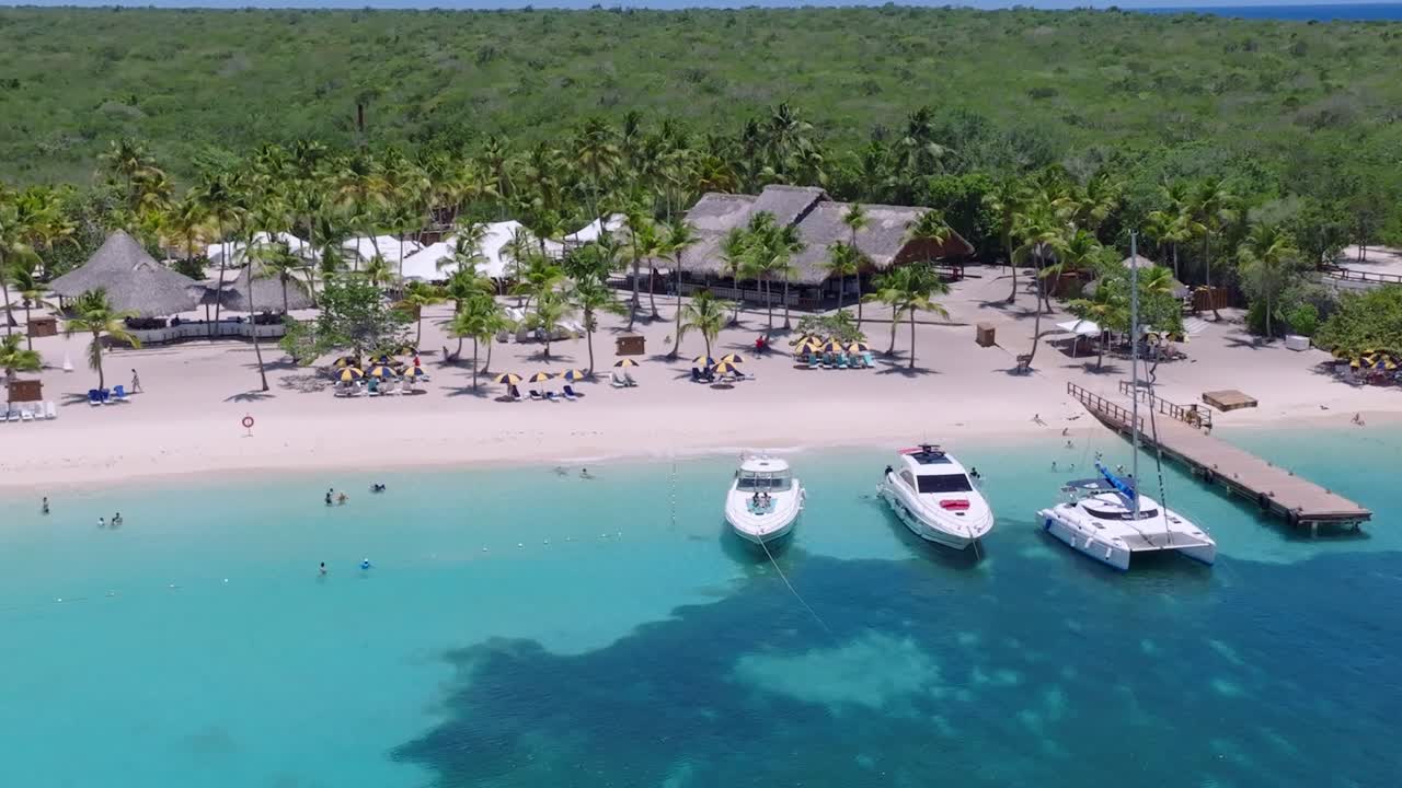 océano azul y playa de arena con palmeras en la isla tropical de catalina, vista de avión no tripulado