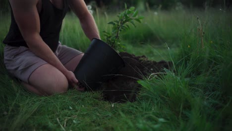 man planting the tree while working in the garden - close up