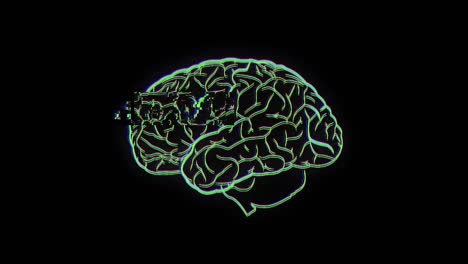 brain on black background