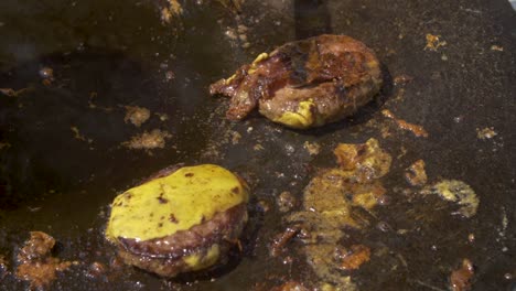 Turning-beef-burger-meat-on-an-iron-sheet---180fps-slow-motion