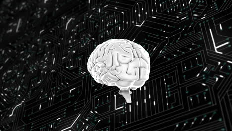 cervello grigio che ruota sulla scheda di circuito del computer