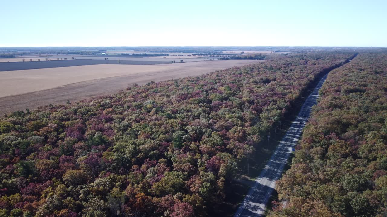 carretera que atraviesa un bosque durante el cambio de color del otoño