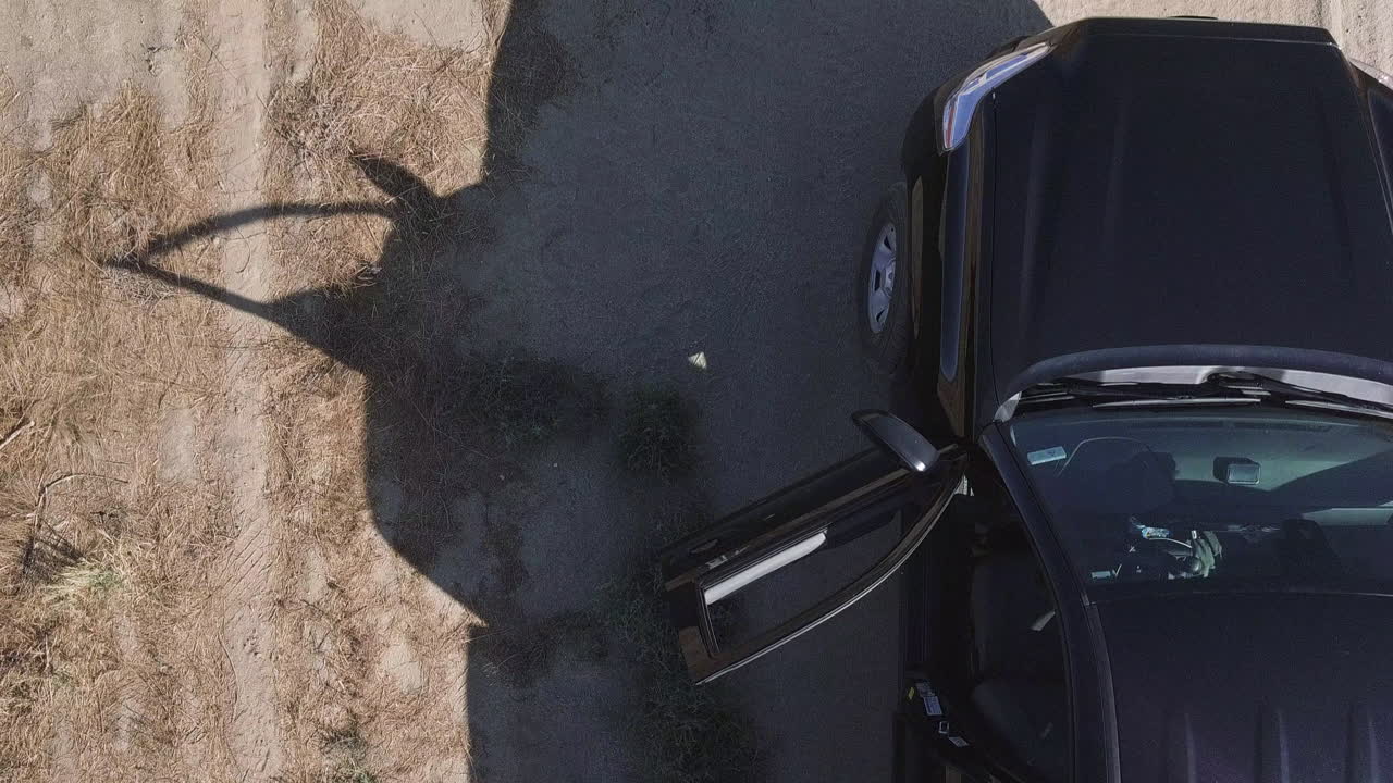 соколиная охота, обучение охоте с сапсаном, съемка с дрона с высокого ракурса