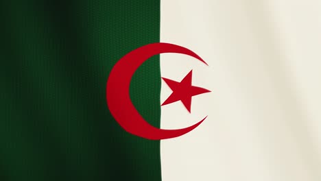 algeria flag waving animation. full screen. symbol of the country