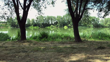 caminar por el bosque en la orilla del río
