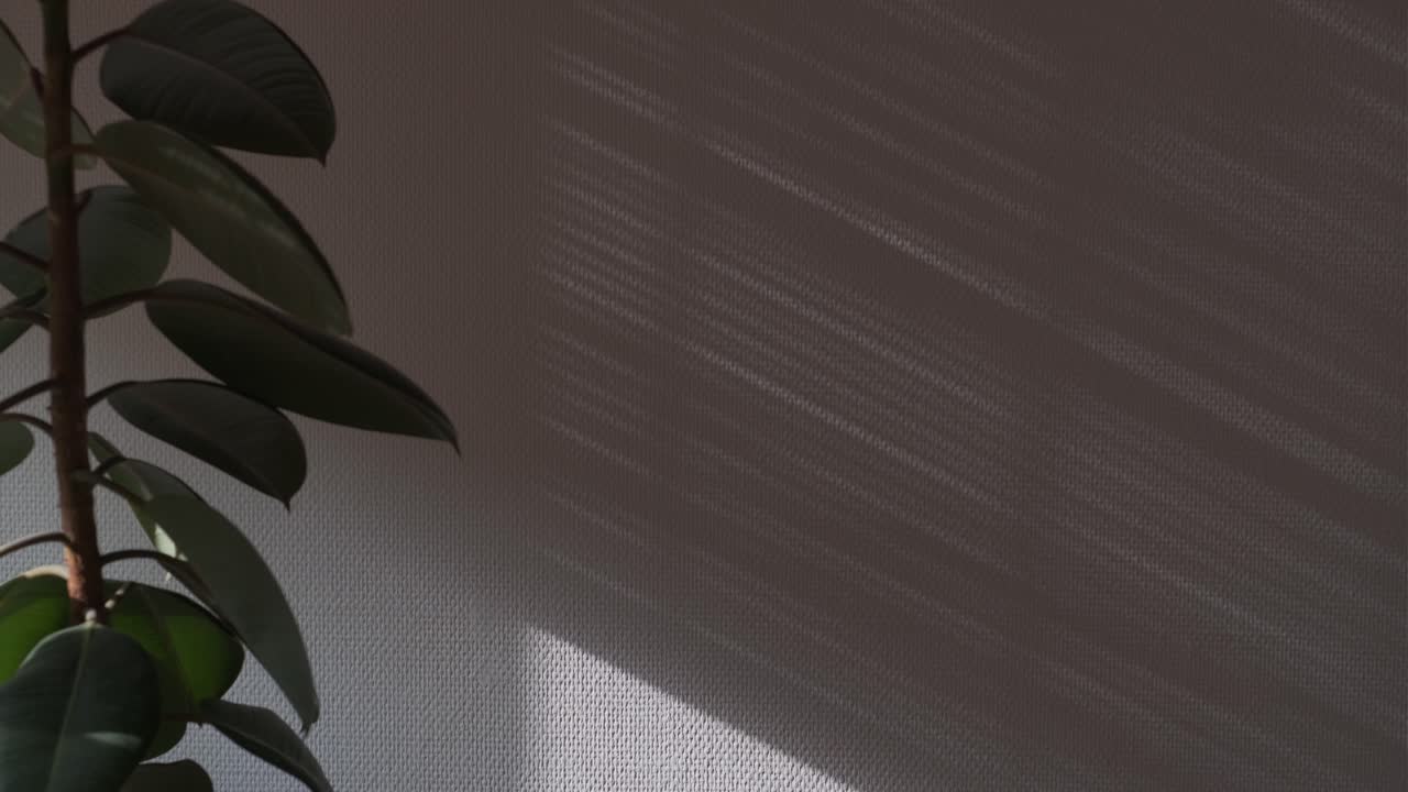 la sombra de las persianas de la ventana en la pared blanca se está rodando hacia abajo