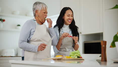 Familia,-Cocinar-O-Brindar-Con-Una-Anciana