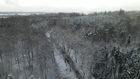 Sobrevuele-El-Sombrío-Bosque-De-Abetos-Y-Pinos-Durante-El-Invierno-En-La-Carretera-Rural-Cerca-De-Pieszkowo,-Polonia