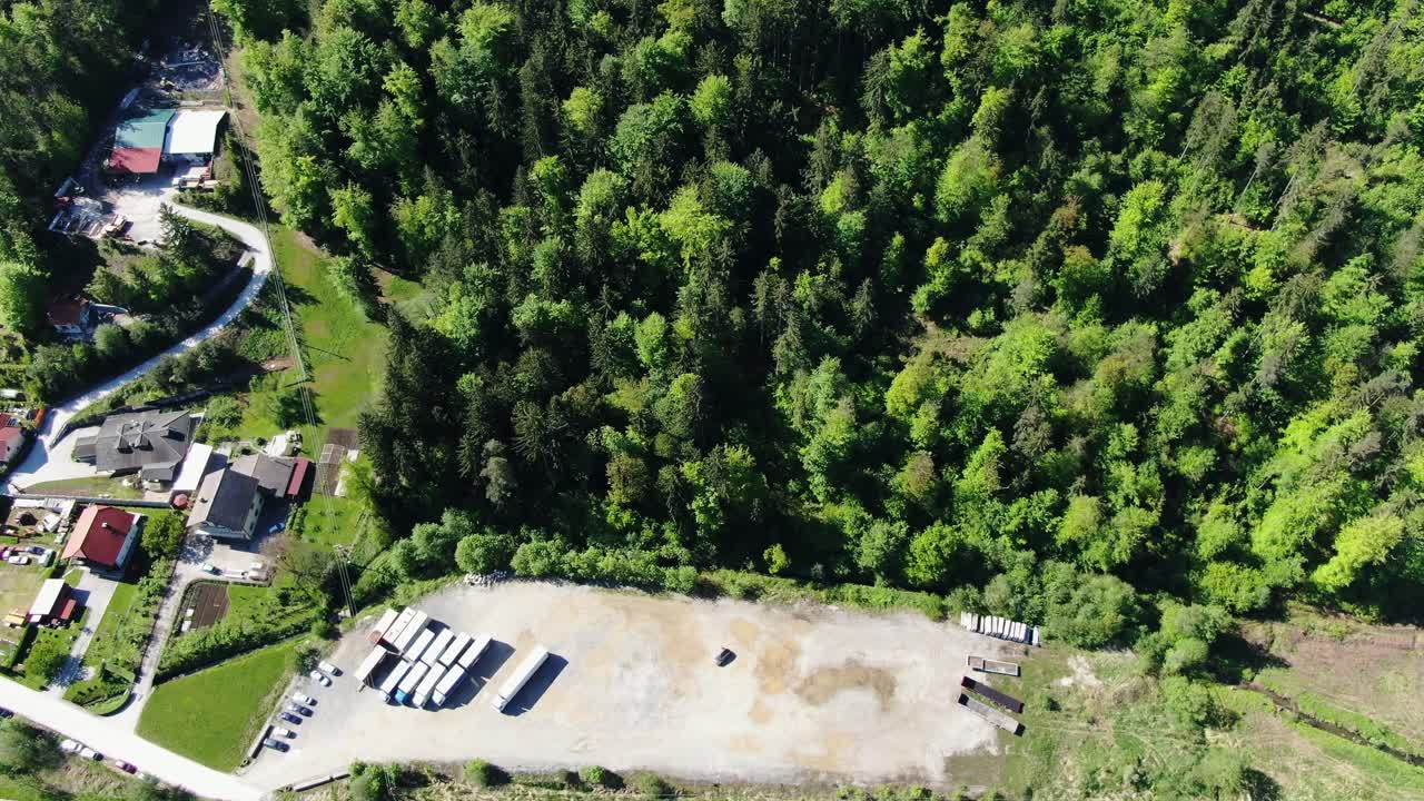 Forest Beside Green Meadow, Aerial Tilt Down View