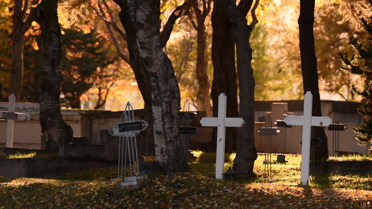 Peaceful cemetery in Iceland during autumn with white crosses, fallen leaves, soft sunlight, old trees, tranquil shadows, golden foliage, wooden grave markers, quiet resting place, seasonal colors.