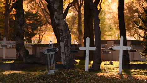 peaceful cemetery in iceland during autumn with white crosses, fallen leaves, soft sunlight, old trees, tranquil shadows, golden foliage, wooden grave markers, quiet resting place, seasonal colors.