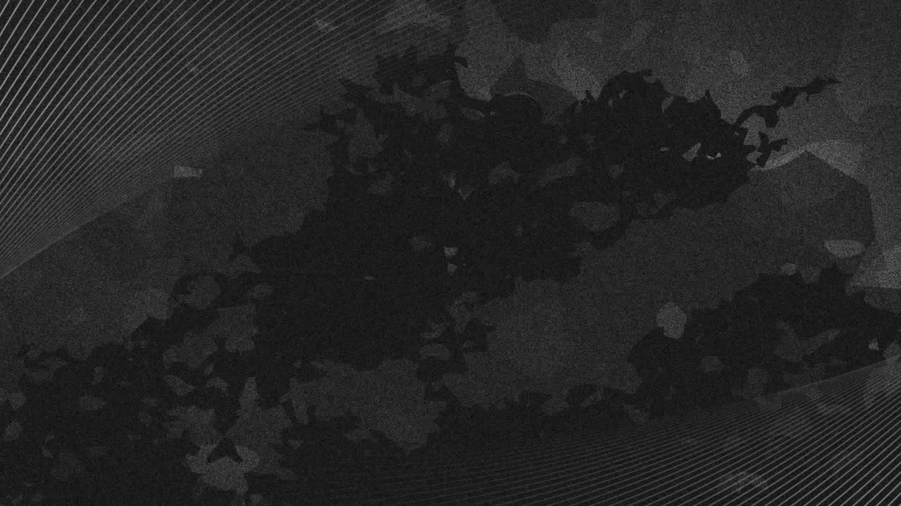 animación de líneas blancas en movimiento y formas negras sobre fondo gris