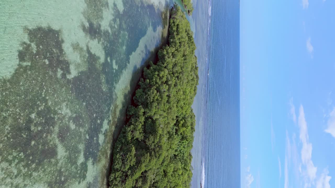 도미니카 공화국의 보카 치카 (boca chica) 의 관광 해변 지역의 새 서식지 섬