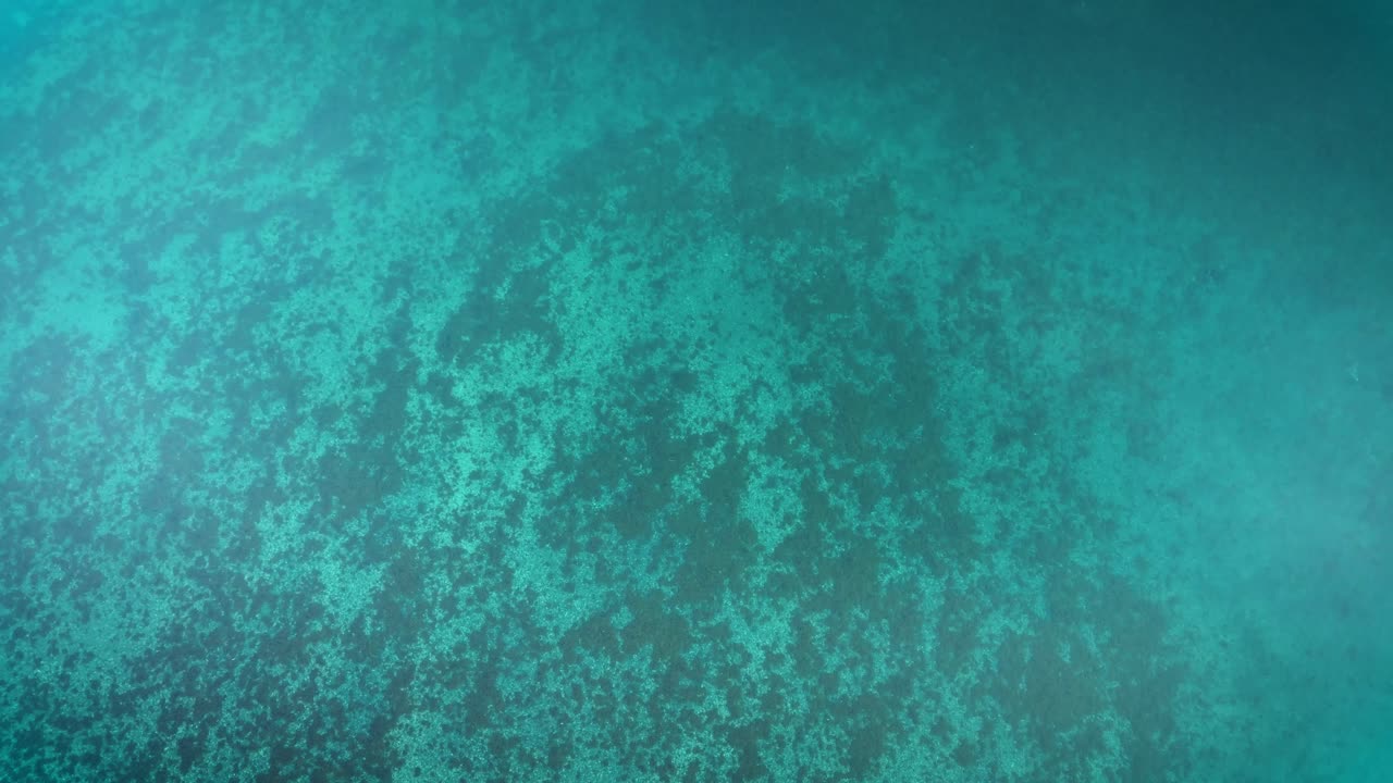 Flyover a reef in the shallow waters of the Newfoundland coast in Canada