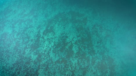 flyover a reef in the shallow waters of the newfoundland coast in canada