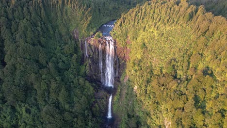 Vista-Superior-De-Las-Cataratas-Wairere-En-La-Pista-Waikato-En-Okauia,-Isla-Del-Norte,-Nueva-Zelanda