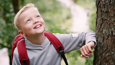 a boy takes a rest from hiking between trees in a forest, looking around, close up, lake district, uk