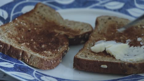 butter on whole grain toast on a plate