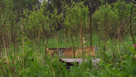 Caja-De-Plantación-De-Madera-En-El-Desierto.-Tiro-Deslizante