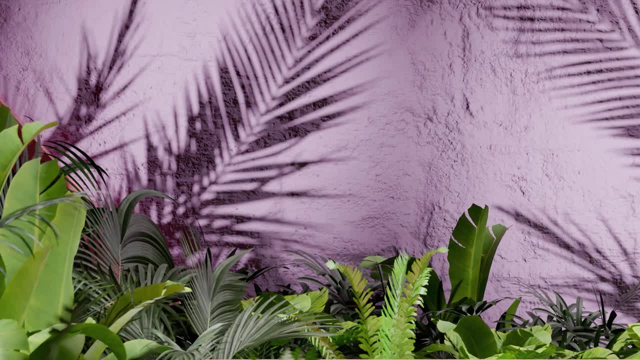 Tropical green plants casting palm leaf shadows on textured pink wall. Botanical outdoor photography. Nature, foliage, and tropical garden design concept. Design for wallpaper, banner