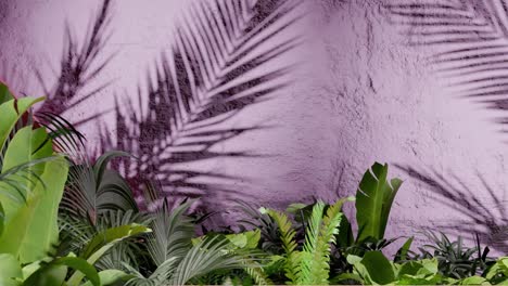tropical green plants casting palm leaf shadows on textured pink wall. botanical outdoor photography. nature, foliage, and tropical garden design concept. design for wallpaper, banner