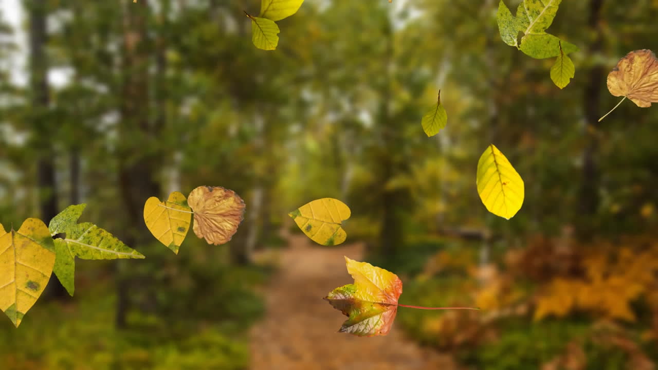 다양한 학교 개념 아이콘을  ⁇ 은 학교로 돌아갑니다.