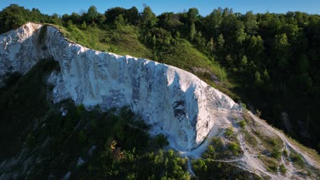 white cliff landscape with forest