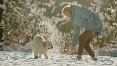 middle aged woman having fun in winter park - throwing snow on her golden retriever dog