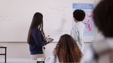 school, education and student writing on board