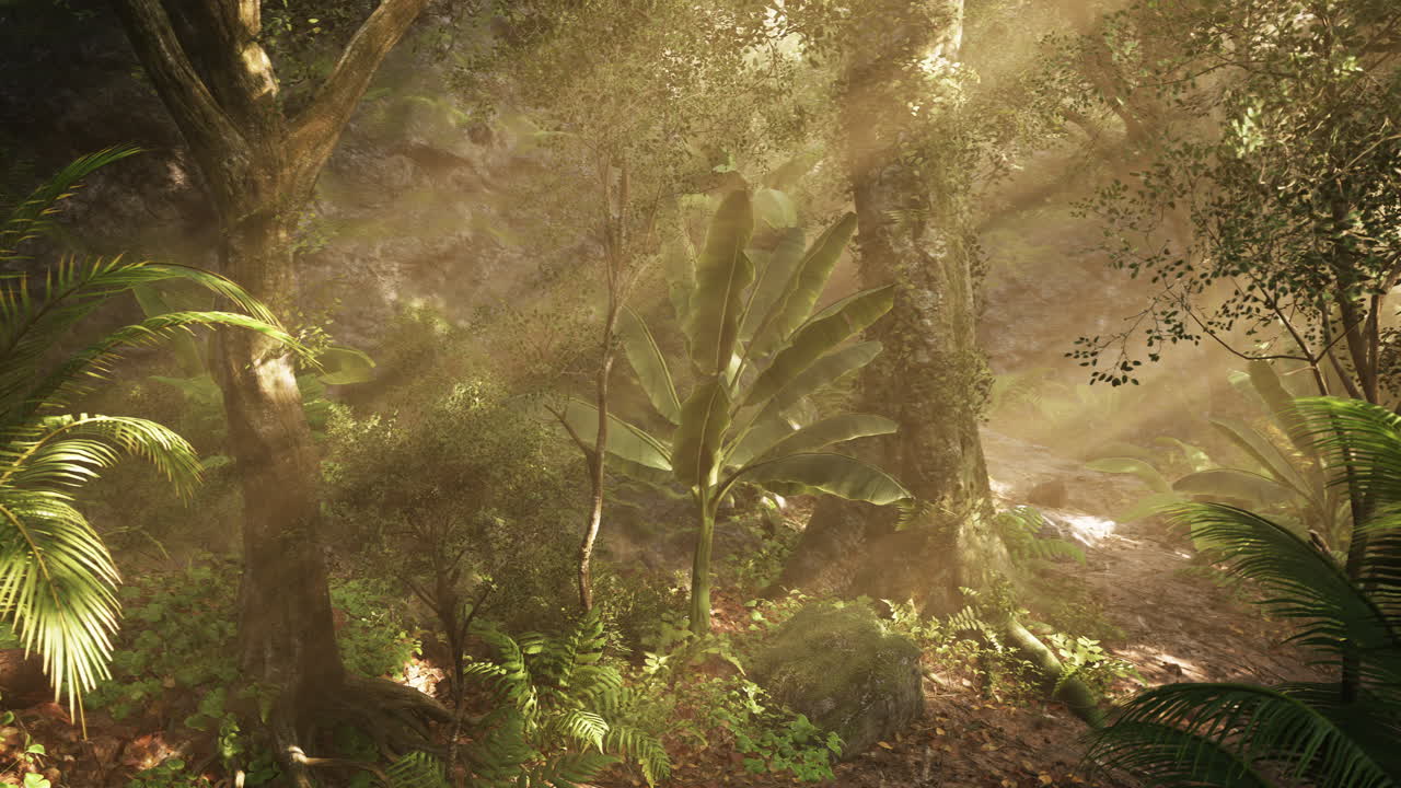 Lush tropical forest with rays of sunlight filtering through foliage at dawn