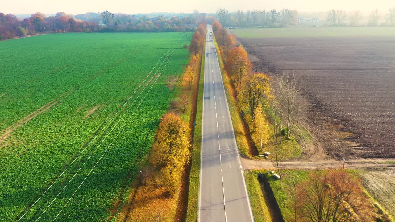 Aerial view of road in beautiful autumn forest at sunset in rural. Beautiful landscape with rural road and trees with colorful leaves