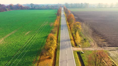 aerial view of road in beautiful autumn forest at sunset in rural. beautiful landscape with rural road and trees with colorful leaves