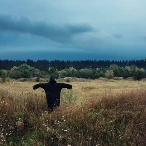 scarecrow in a field under a dark and ominous sky