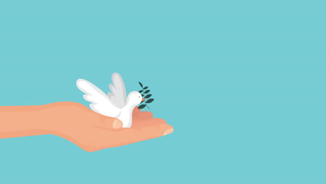 human rights animation with dove flying