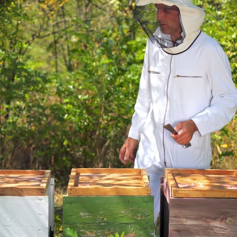 beekeeper working collect honey. beekeeping concept