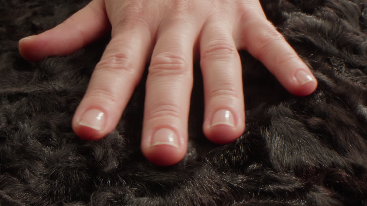 Hand touching soft black fur texture