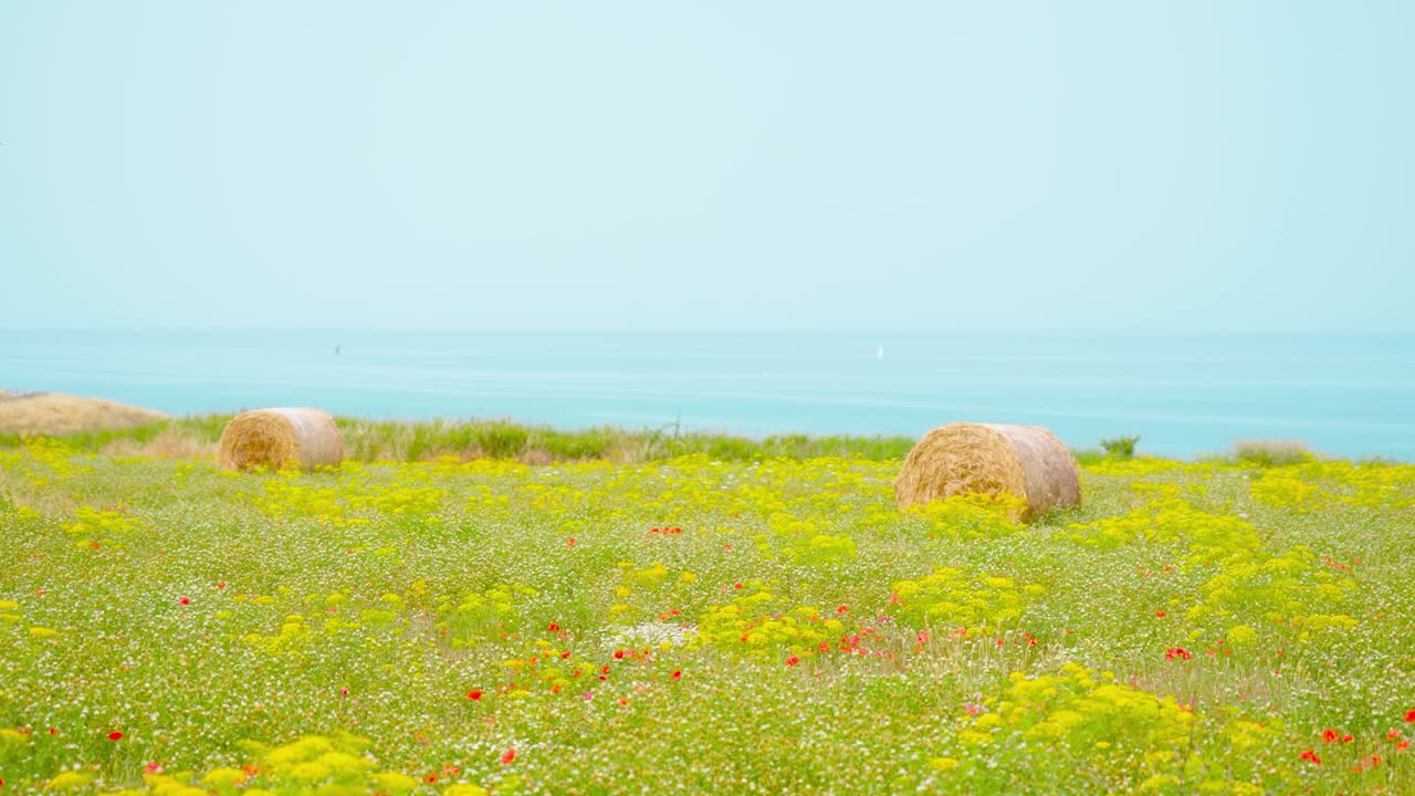 Green field with hay bales in front of the sea