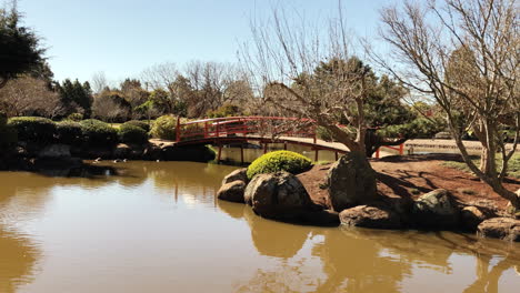 Slo-pan-of-red-bridge-over-pond,-trees-and-green-foliage,-Ju-Raku-En-Japanese-Garden,-Toowoomba,-Australia