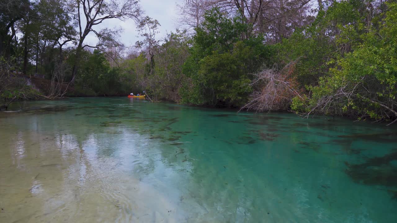 dos personas disfrutan del kayak y reman sus kayaks a través de las mágicas aguas azules claras del río de primavera del parque estatal weeki wachee