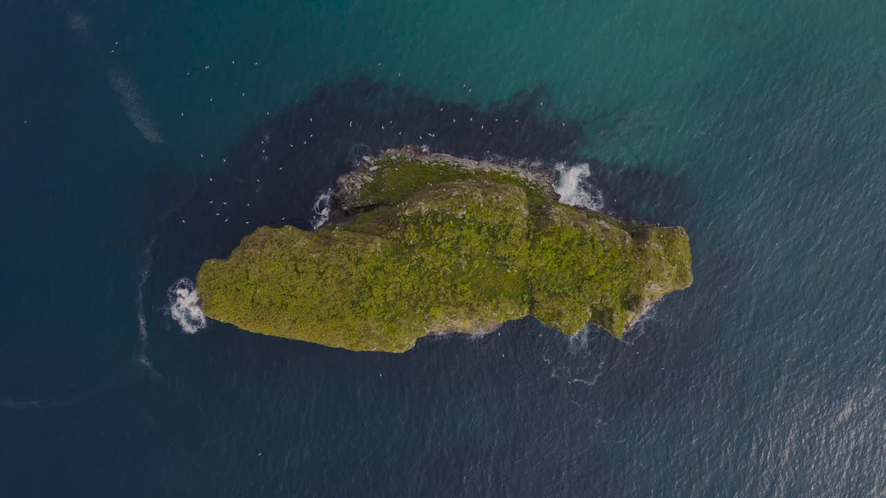 vista aérea de pájaro castro ballota isla azul turquesa aguas y avifauna, españa