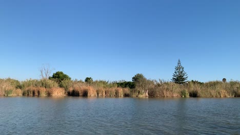 View-from-the-boat,-L'Albufera,-Valencia